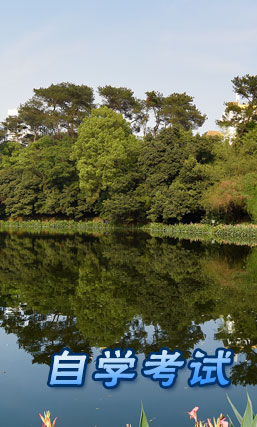 自学考试